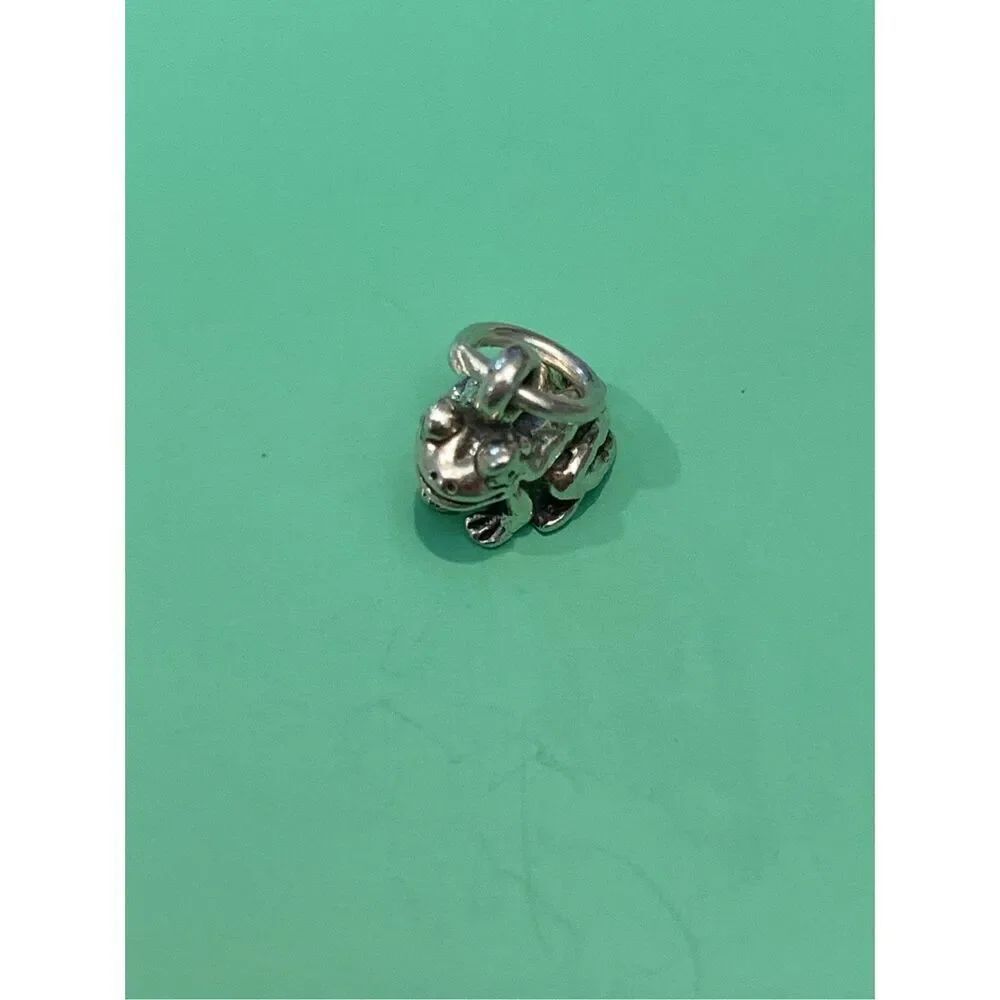 Frog Small Sterling Silver Jewelry Charm #bugs